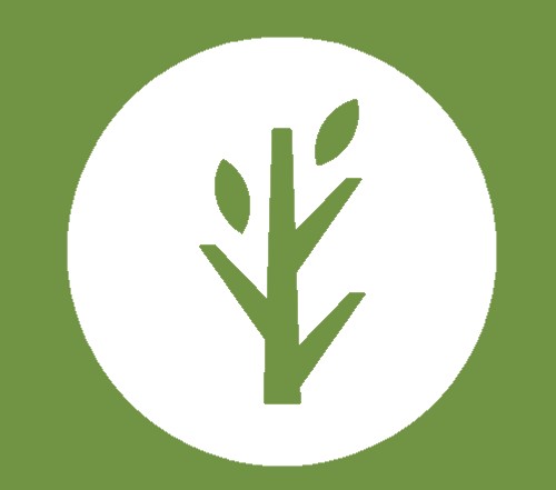 Roots-Wellness-Center-LOGO-inverted.jpg